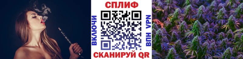 Марихуана семена  где найти наркотики  Усть-Лабинск 